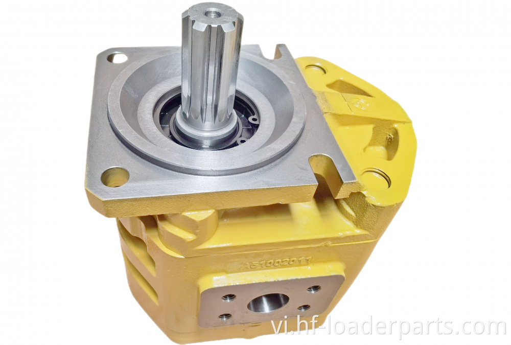Bơm bánh răng thủy lực hydraulic gear pump